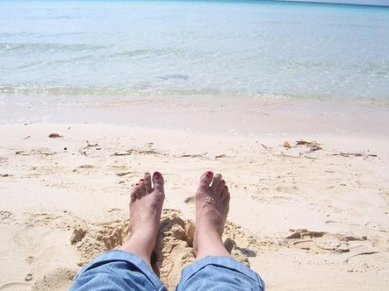 Lucayan National Park-大巴哈马岛必去景点