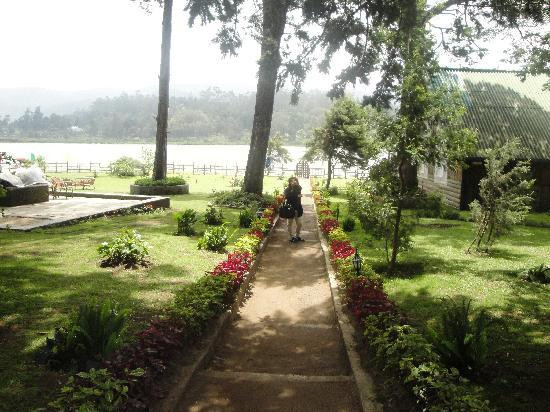 格雷戈里湖-奴娃拉伊利雅必去景点