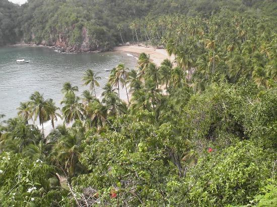 Playa Medina景点图片