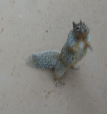 Riverside Walk-锡安国家公园必去景点