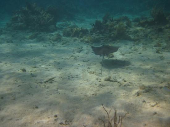 Kayaking Puerto Rico-库莱布拉岛必去景点