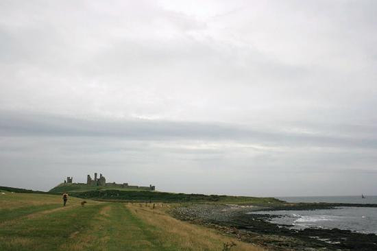 Dunstanburgh Castle景点图片