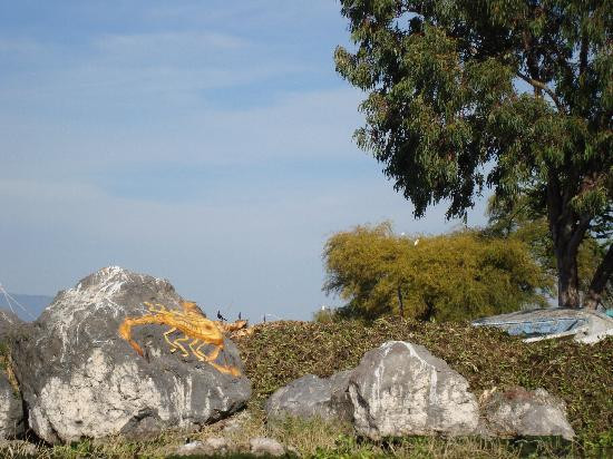 Lake Chapala-Chapala必去景点