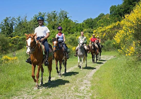 Siena Horse Riding-蒙特罗尼-达尔比亚必去景点
