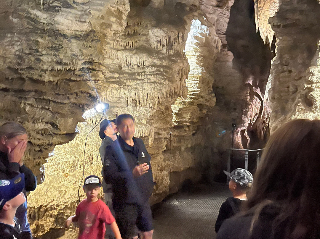 The Waitomo Village Chalets - Home Of Kiwipaka主图