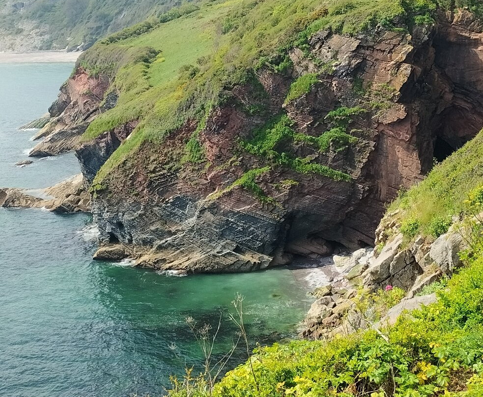 Berry Head National Nature Reserve景点图片