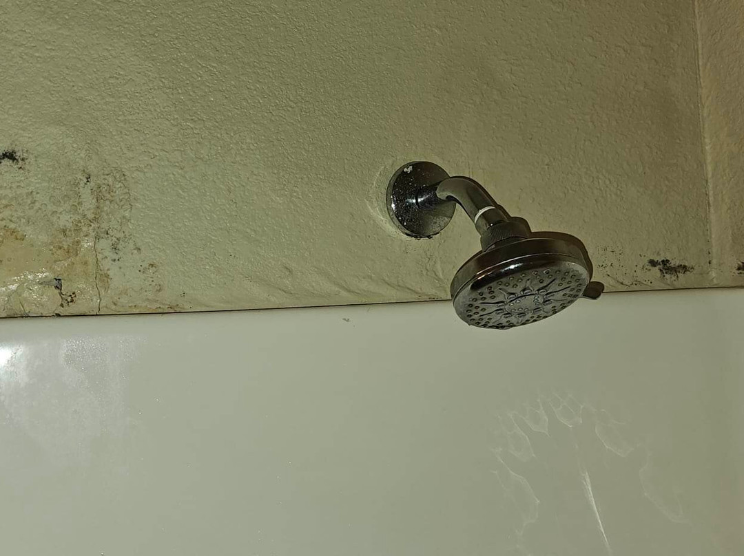 Comfort Suites Mobile East Bay主图