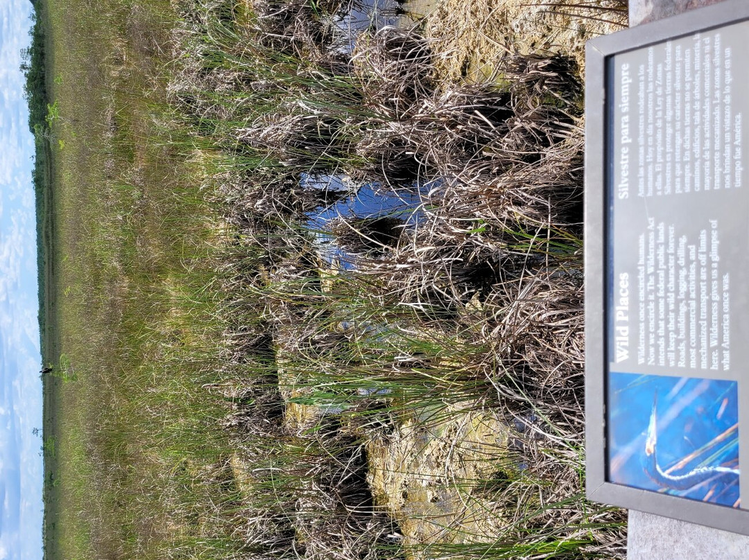 Slough Slog-大沼泽国家公园必去景点