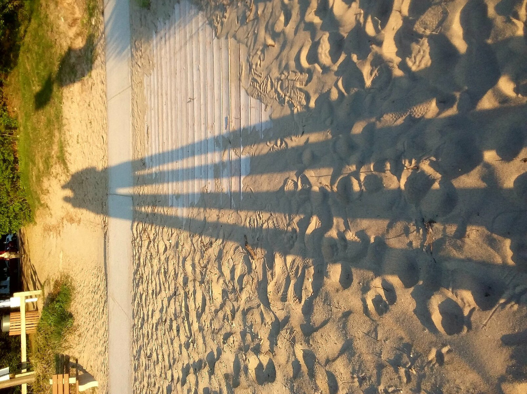 The Beach Motel主图