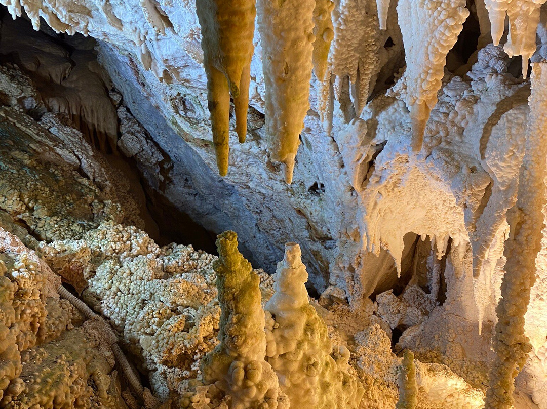 Cuevas de Genova景点图片