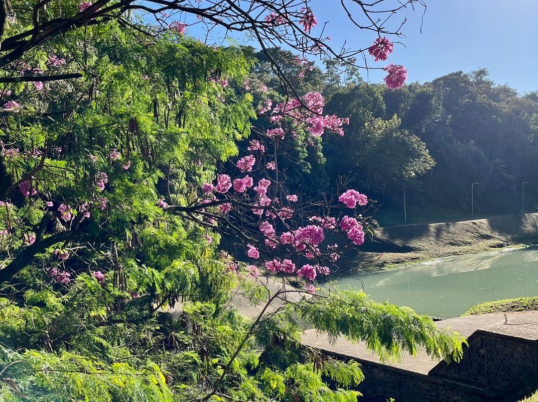 Parque Ecologico de Indaiatuba-因达亚图巴必去景点