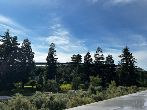 Apple Park Visitor Center-库柏蒂诺必去景点