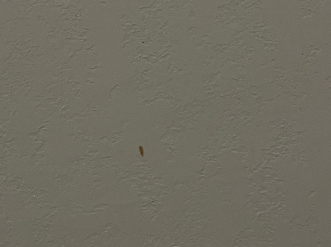 Hampton Inn & Suites By Hilton Ottawa West主图