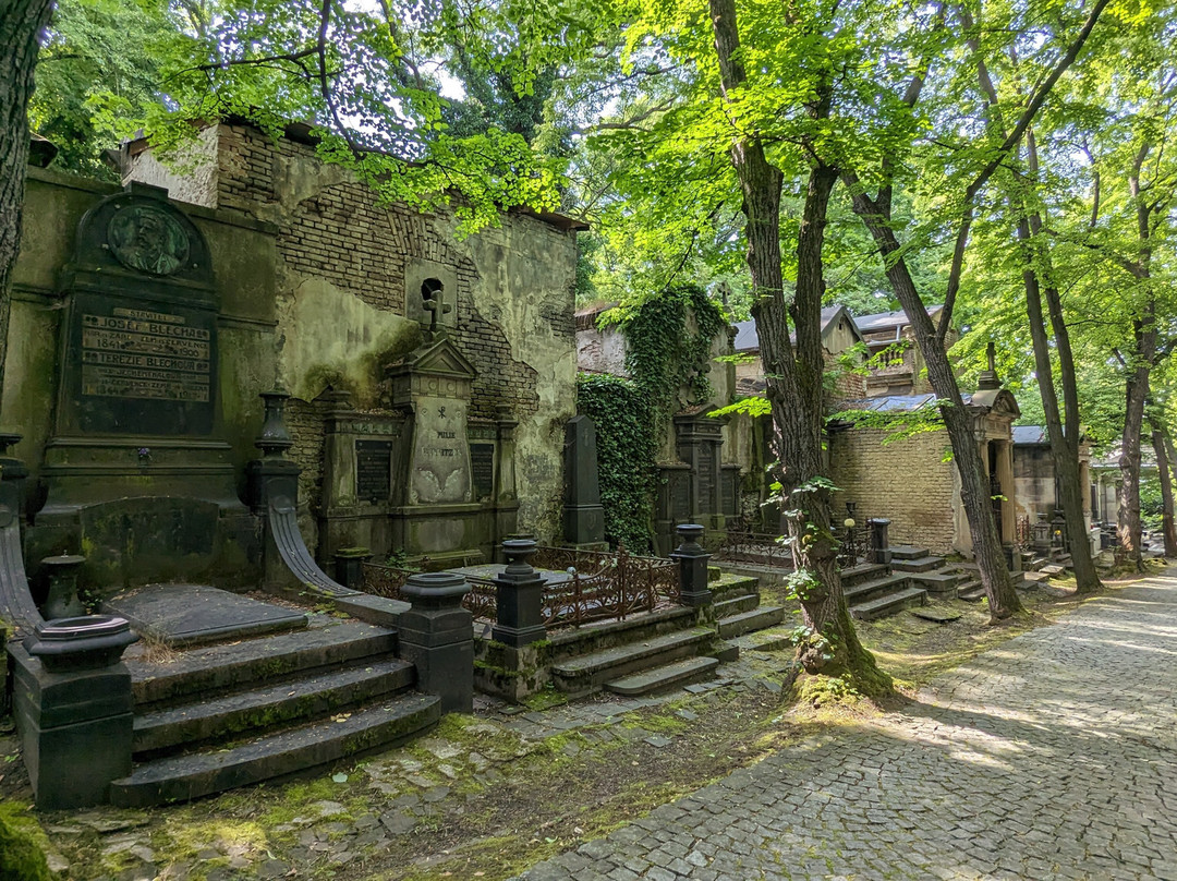 Olšany Cemetery景点图片