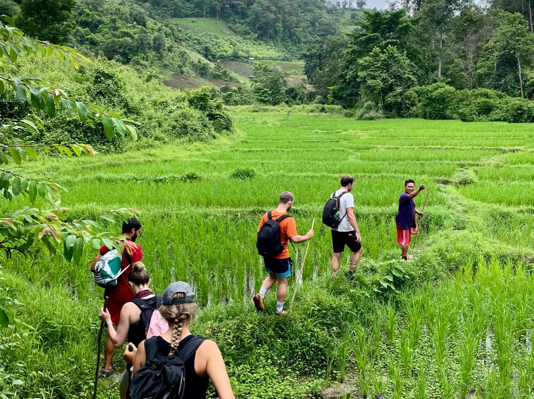 Chiang Mai Trekking with Maewin And Family景点图片