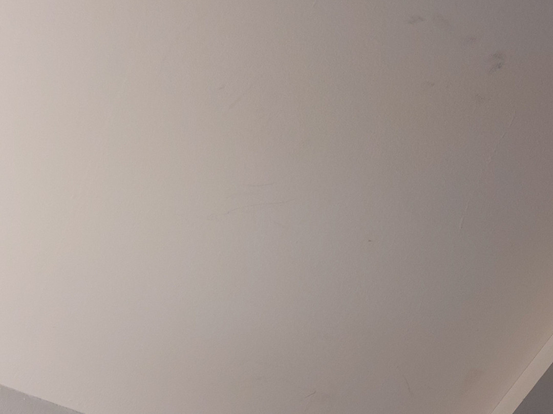 Hôtel Du Parc主图