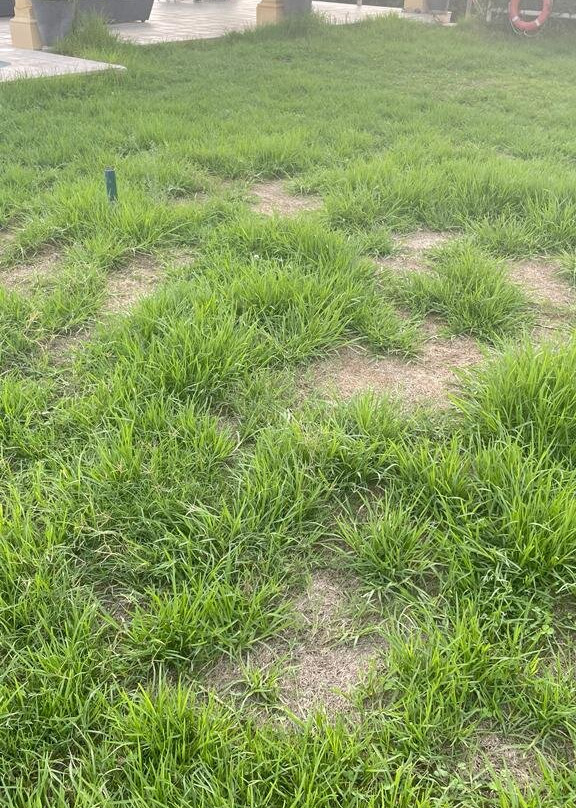 La Escondida Singular's Hotels & Restaurants主图