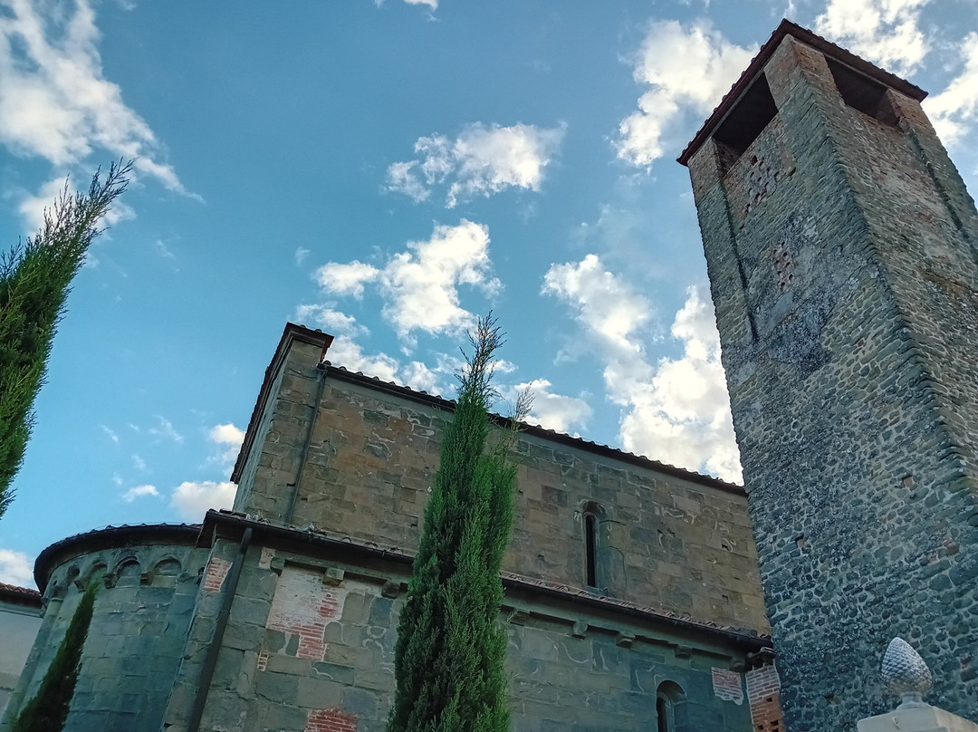 Chiesa di San Piero in Campo景点图片