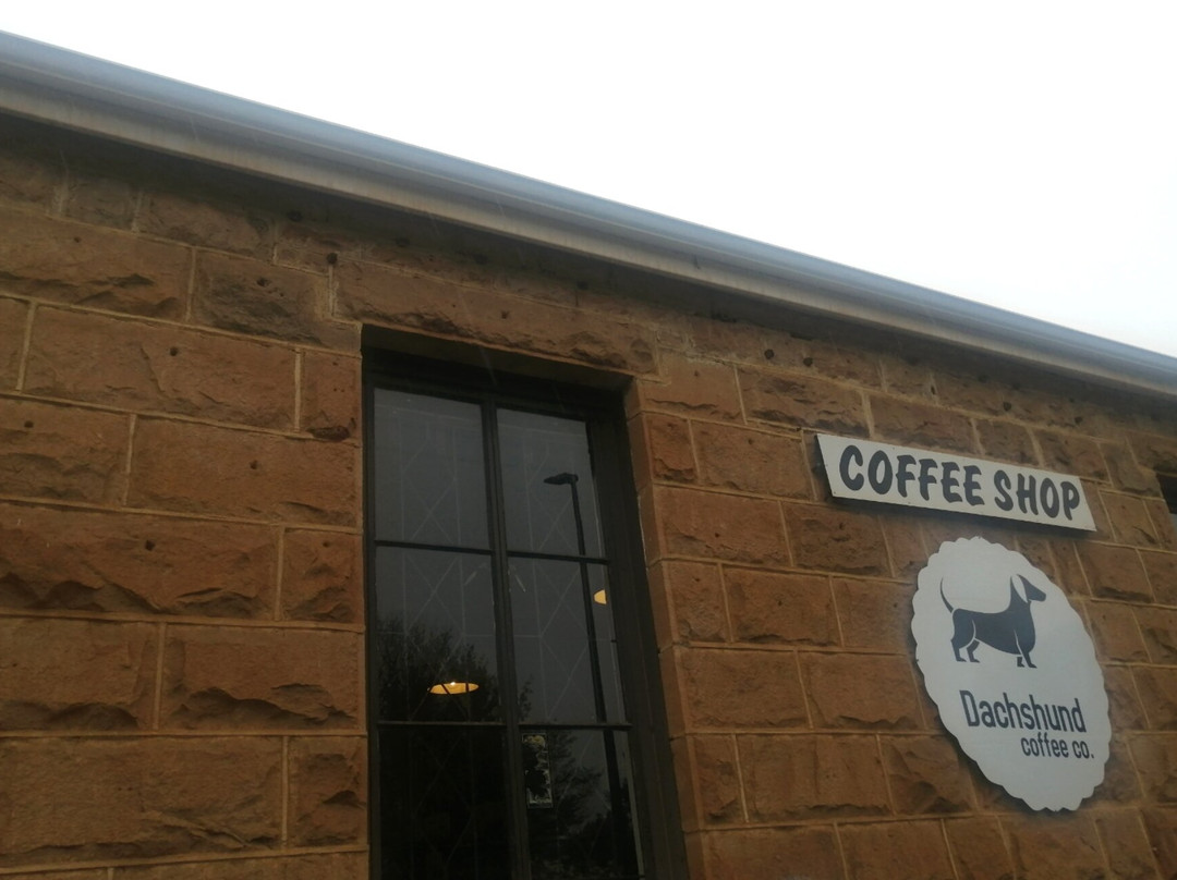 Daschund Coffee Shop