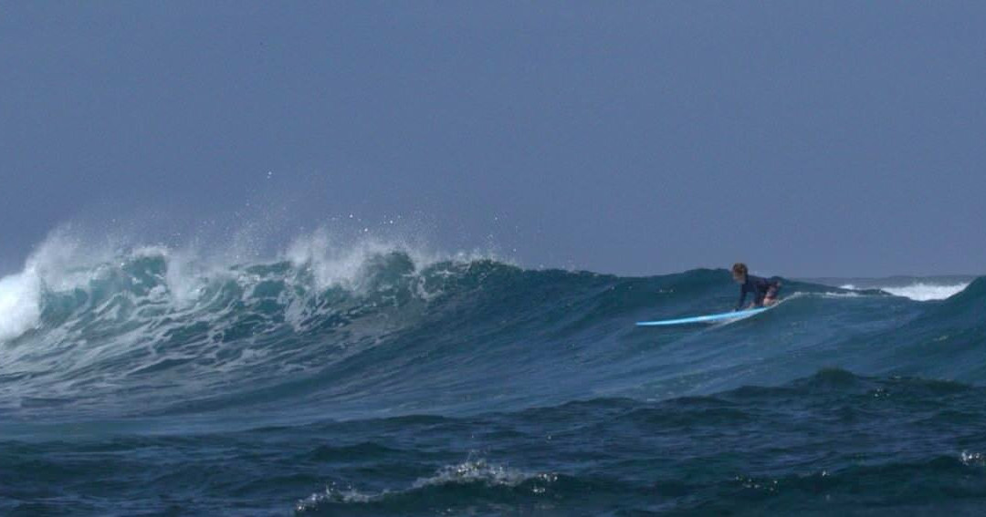 Fijian Surf Company景点图片