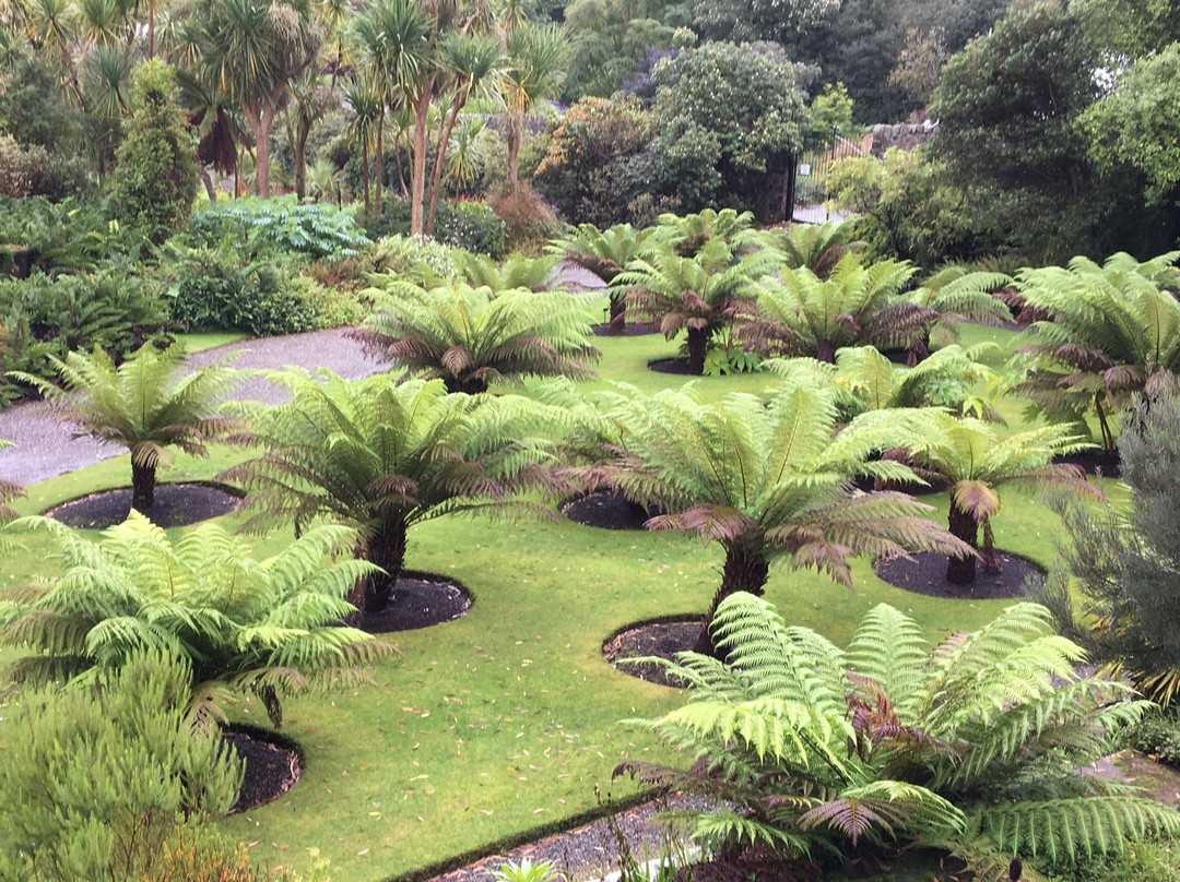 Logan Botanic Garden-Port Logan必去景点