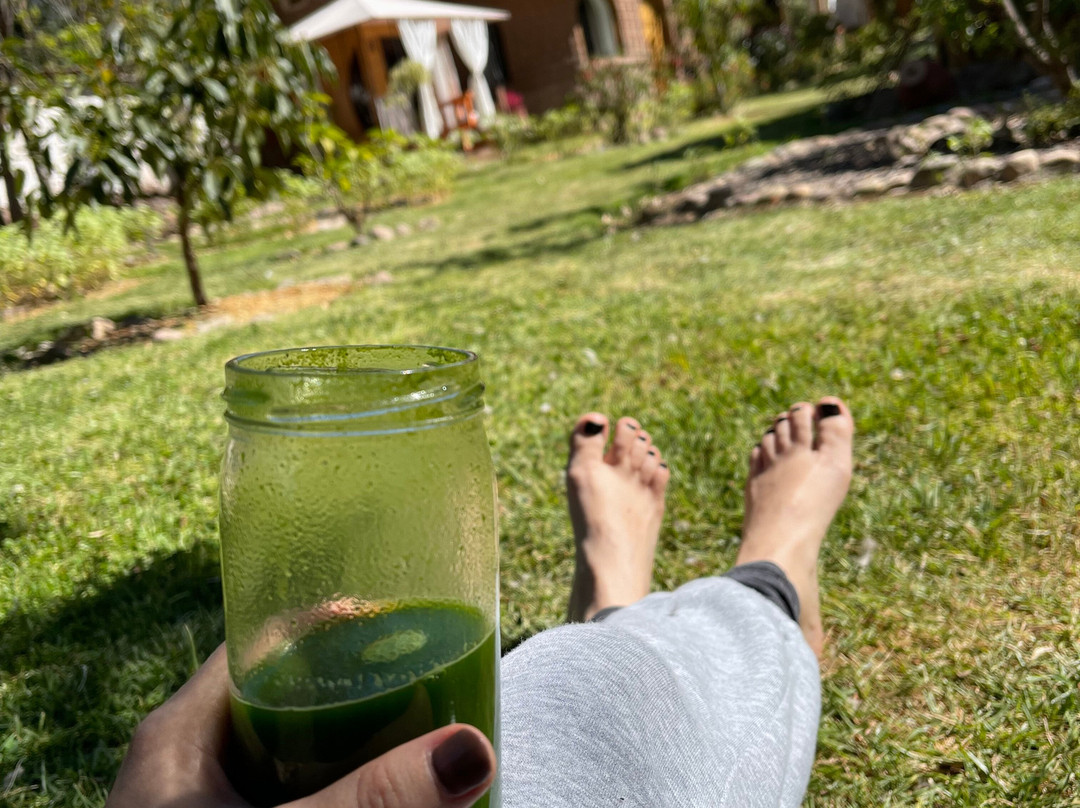 Pacha Munay Wellness主图