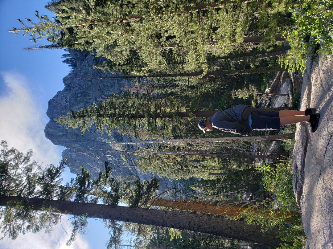 Tokopah Falls-Three Rivers必去景点