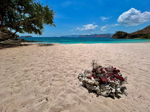 Happy Trails Asia-沙努尔必去景点