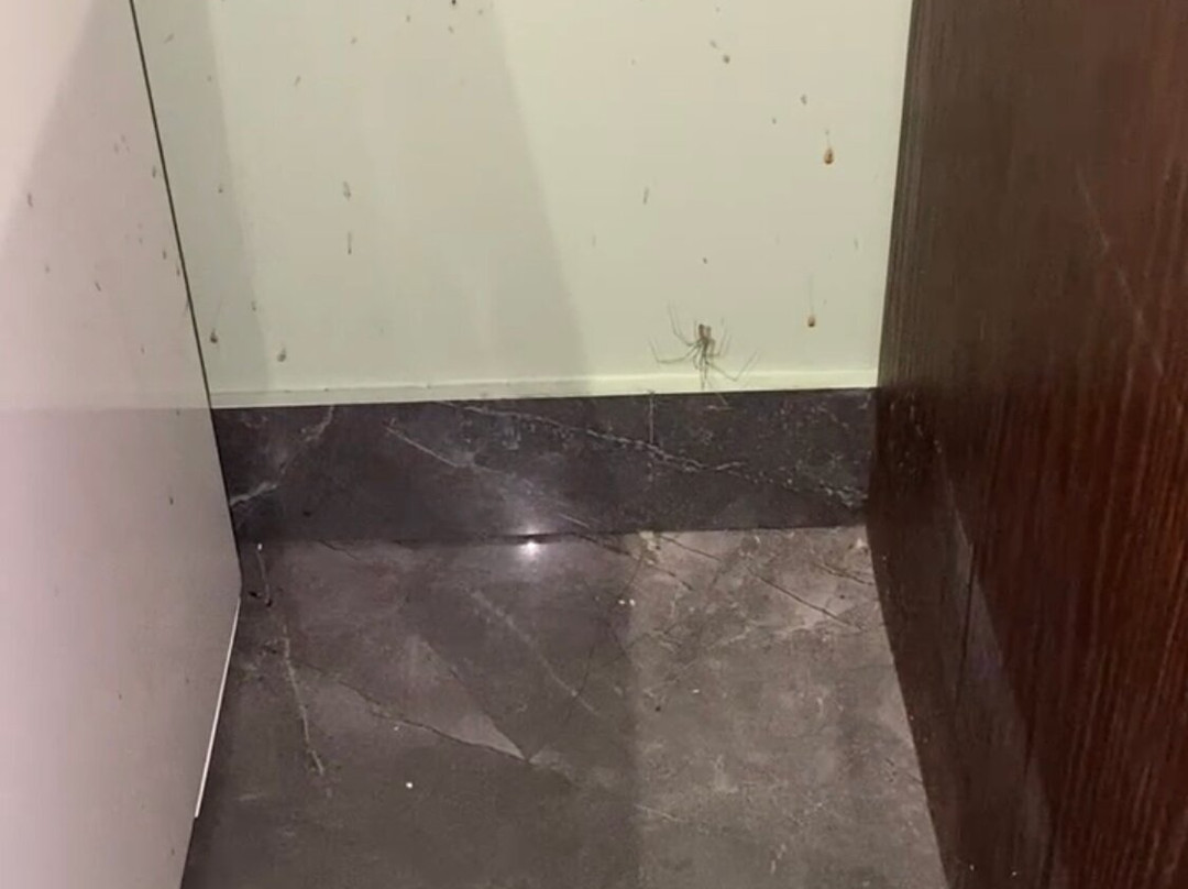 Hôtel Parc & Spa Les Cigognes主图