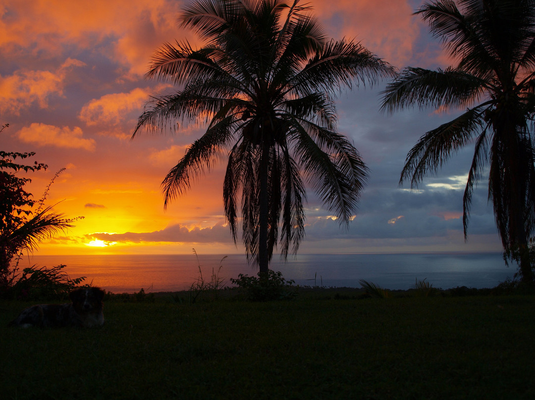 科纳湾景家庭式客栈主图