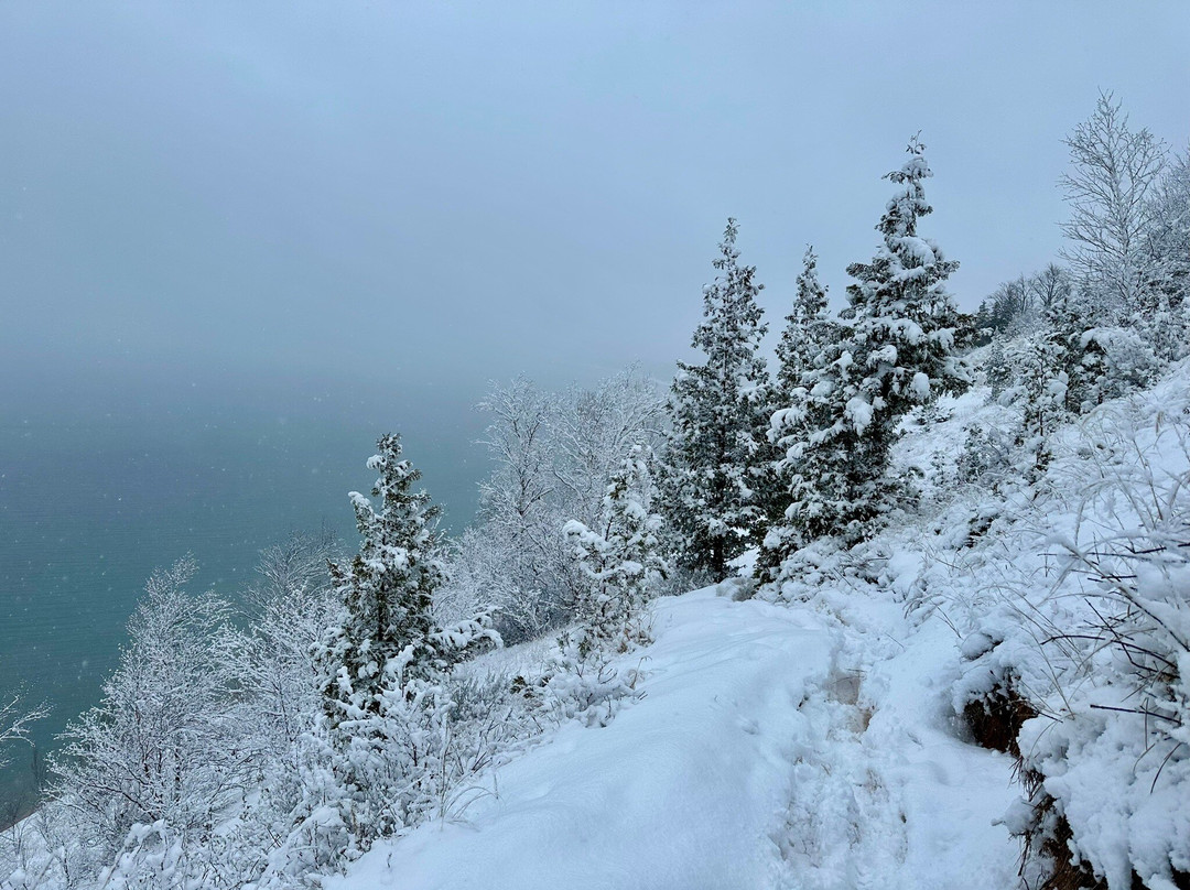 Empire Bluff Trail-Empire必去景点