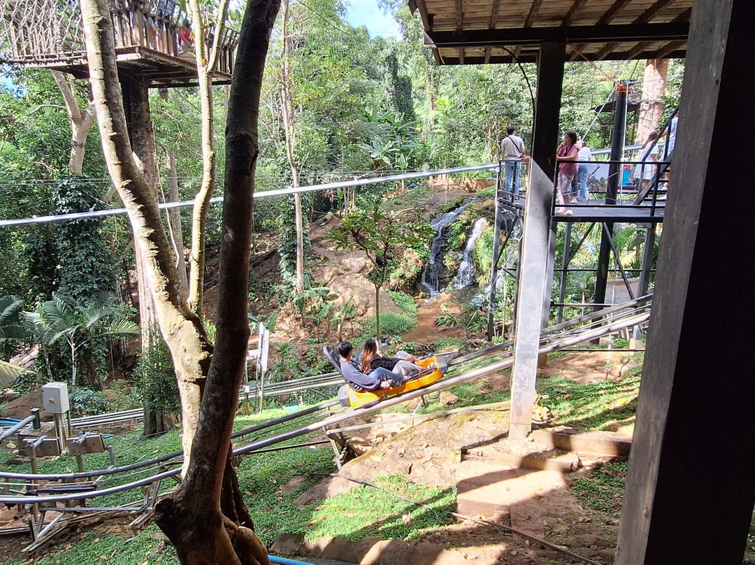 Pongyang Zipline and Jungle Coaster-清迈必去景点