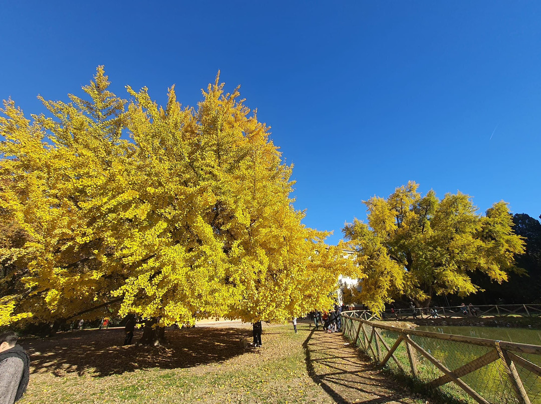 Parco della Resistenza景点图片