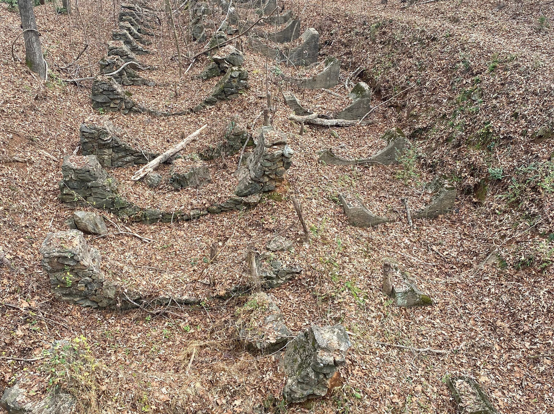 High Falls State Park-Jackson必去景点