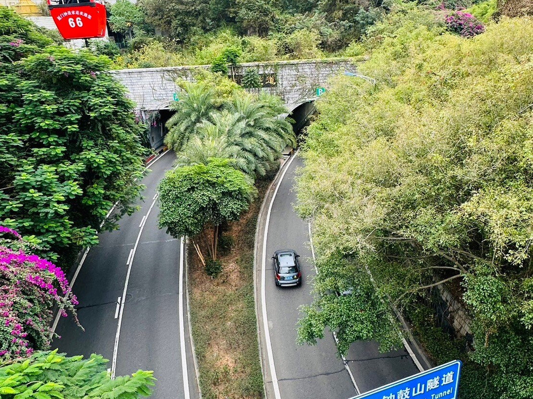厦门钟鼓索道景点图片