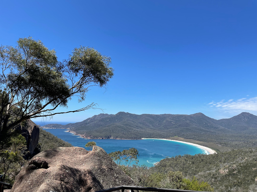 Drink Tasmania Premium Tours景点图片