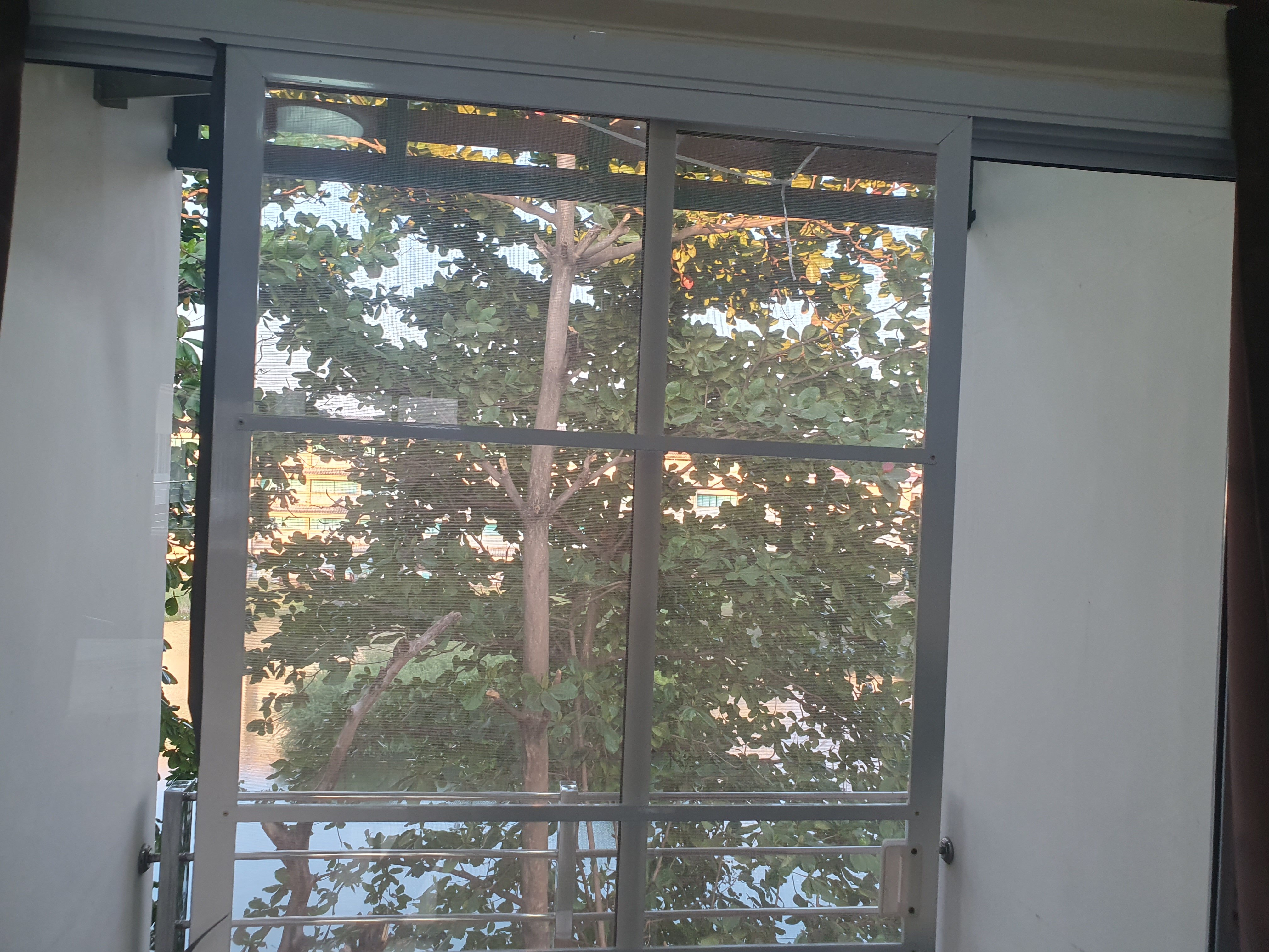The Wisdom Residence-酒店景观