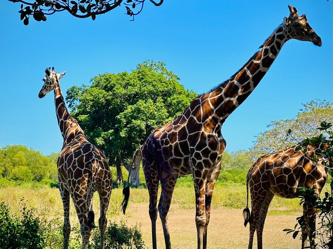 Concepcion Divers Lodge主图