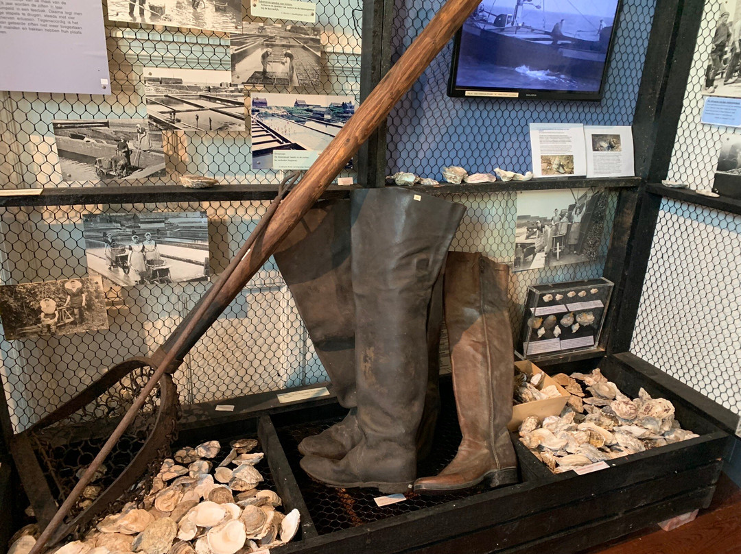 Oosterschelde Museum-Yerseke必去景点
