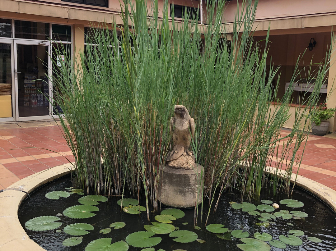 Livingstone Museum景点图片
