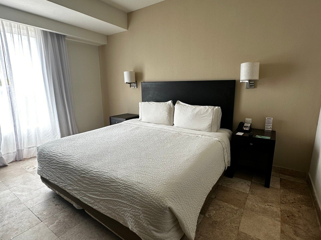 Fiesta Inn Coatzacoalcos主图