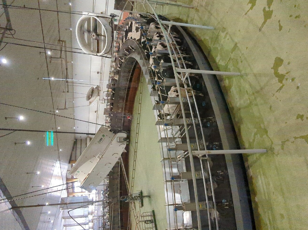 Baladna Park-Al Uqda必去景点