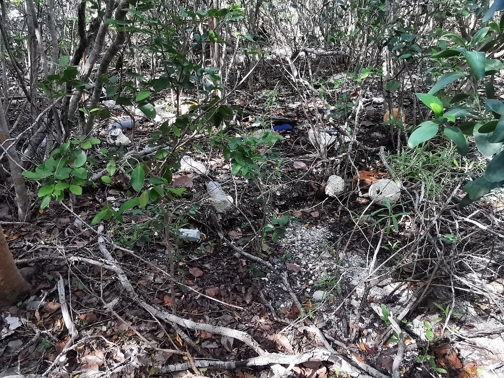 Adams Key-比斯坎国家公园必去景点