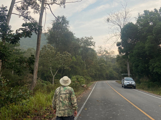 Samarn Bird Camp主图