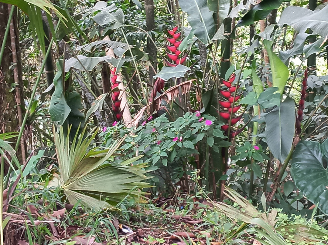 Parque Recreacional Jorge Rivadeneira景点图片
