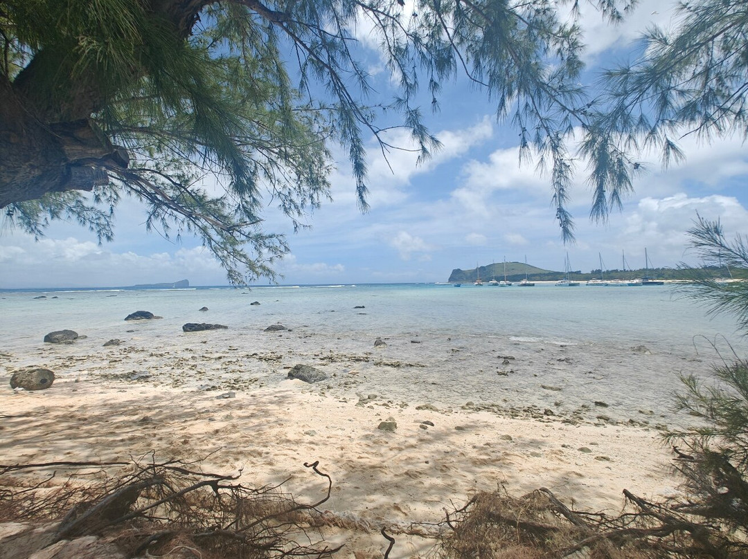 Dauphine Tours Mauritius-大湾必去景点