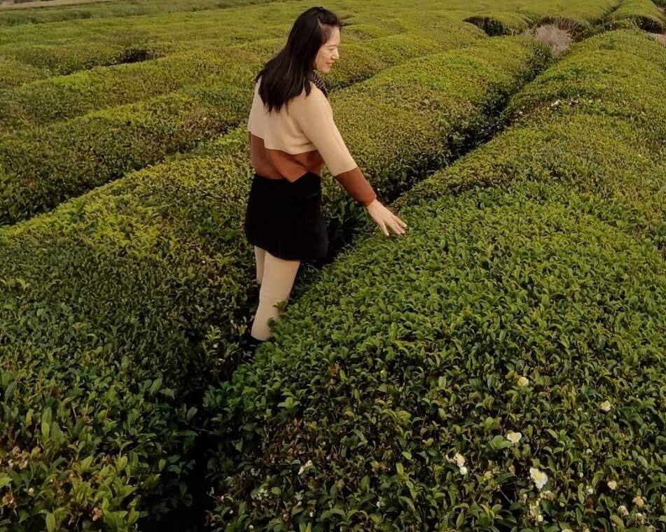 凤凰沟风景区-南昌市必去景点