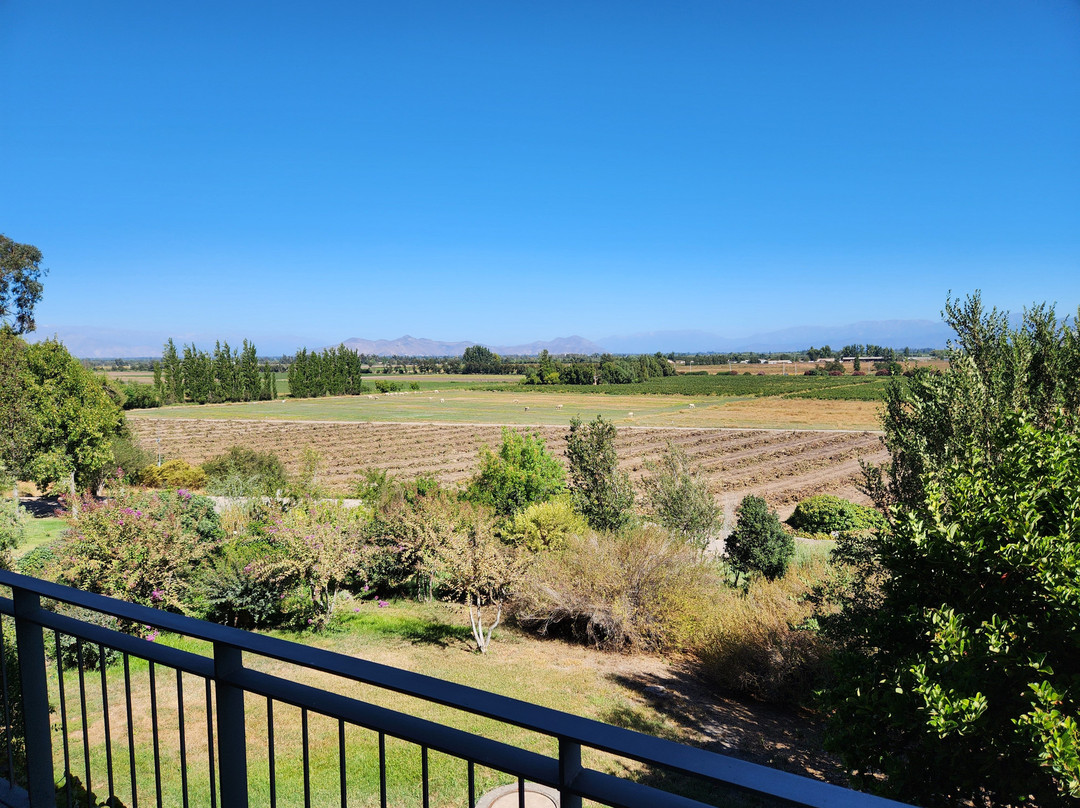 Maipo Valley Wine Tours景点图片