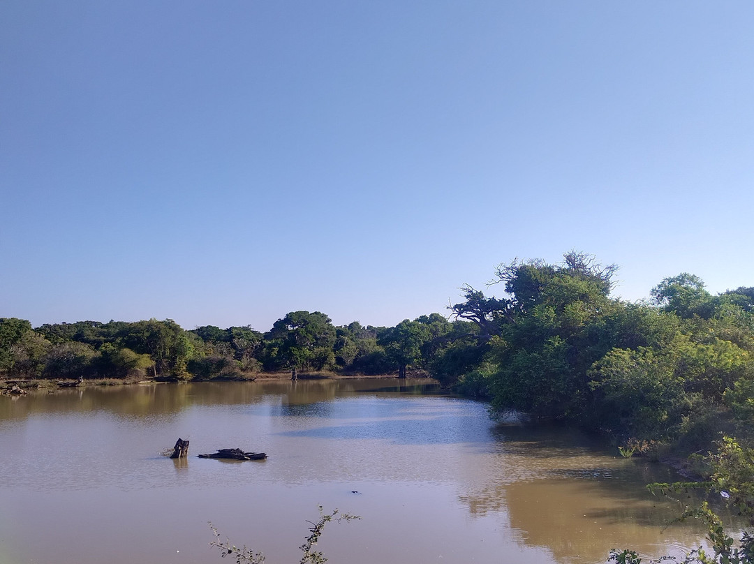 Round Tours SriLanka-加勒必去景点