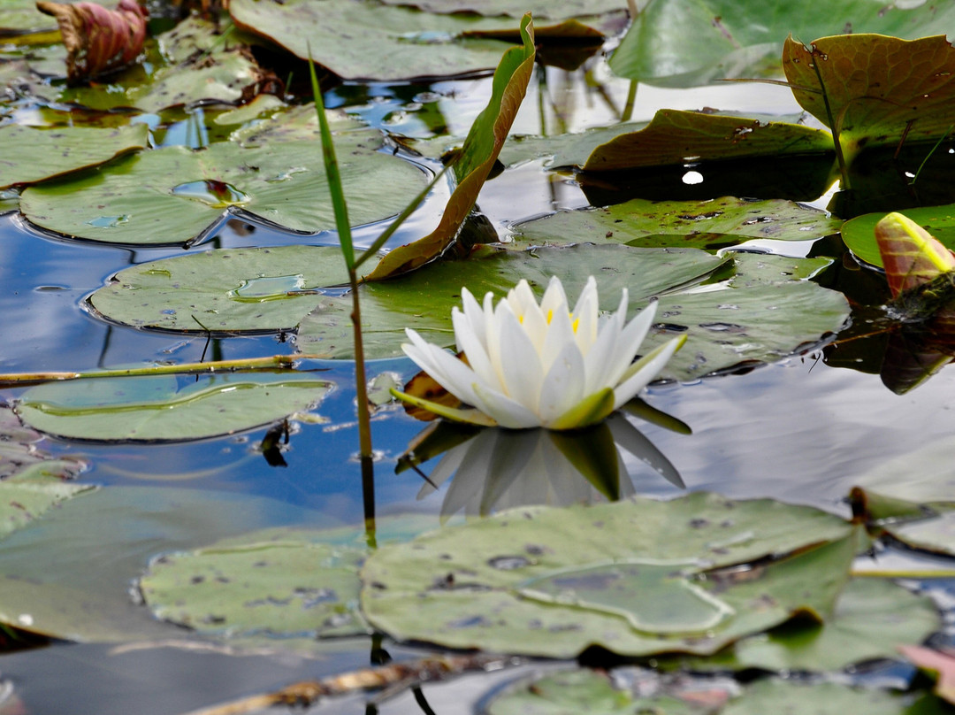 Ocmulgee Outdoor Expeditions-梅肯必去景点